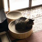 車のルームミラーに吊るされていたとんでもない物