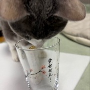 不運続きの日は幸運1つで帳消しになります～♪