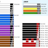 『ブラジリアン柔術の黒帯になるには、どのくらいの年数を必要とするの??』の画像