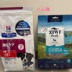 Go forward! forわんDog