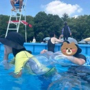 暑すぎて、休日プール以外選択肢が無い😭