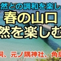山口の海と大地を駆ける旅-元乃隅神社・角島・秋吉台ドライブ