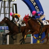 『【今週のフレッシュCh】5/31門別7R・1,000m=1着⑨アークヴィグラス(牝=小野望厩舎。馬主・アークフロンティア(株)、村上牧場=新冠町生産)』の画像
