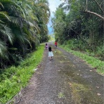 ハワイ島のロミロミスクール“Hale Ola” のblog