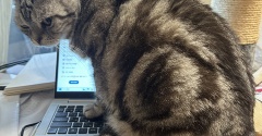 ブログ再開します。