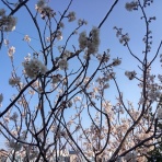 曇りのち晴れｗ