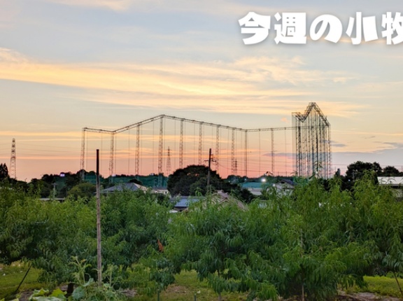 8/4(月)～8/10(日)の小牧のニュースや出来事をピックアップ【今週のこまき】