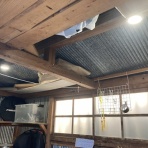 コッピー先生のblog