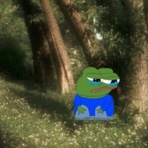 QAJFレッドピルニュース