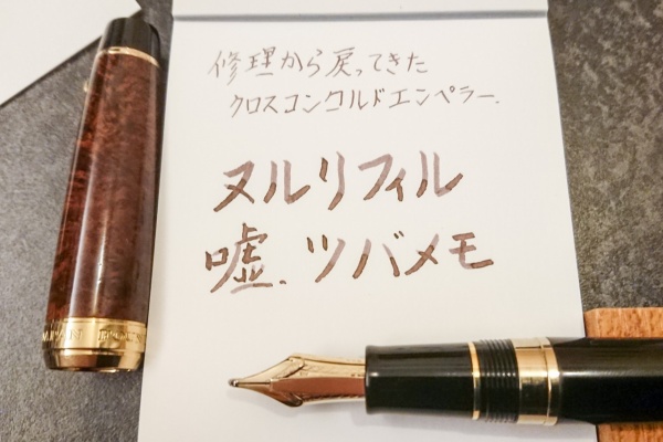 万年筆とヌルリフィルの部屋 Pen Saloon インク 万年筆とヌルリフィルの部屋 Pen Saloon インク