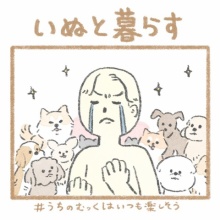 じゅんのいぬかわいいメモ - こんにちは、いぬです