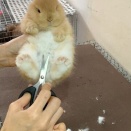 ちょっとだけトリミング