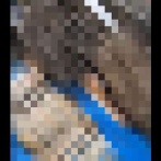 男性「築140年超の古民家に住むぞ！」→業者「屋根裏から何か出てきたよ」→確認しに行ってみると・・・うわああああああああ