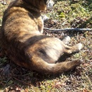 日差しが柔らかくなり