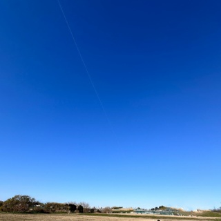 ありんこ日記　AntRoom