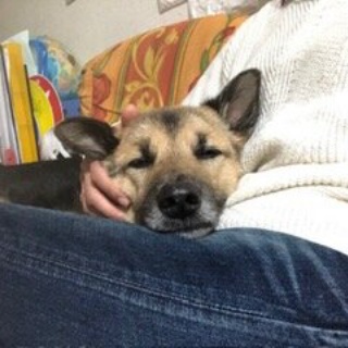 コン太里親会ブログ