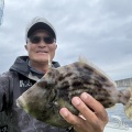 小さい号数でも大型も対応できるカワハギバリ