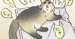いつだって母と遊びたいマロちゃん