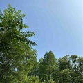 【日記】水没。