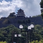 柳の様に…