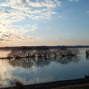 大洗と霞ヶ浦ツーリング#72 凍える前に走れ！