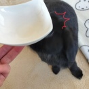 〜 受け継がれしお皿 〜