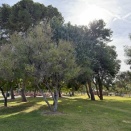 公園で散歩しました。