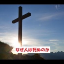 なぜ人は死ぬのか