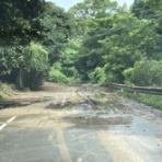 市原市議会議員　大曽根友三～トモゾウ～のBlog