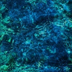 PHOENIX OFFICIAL BLOG