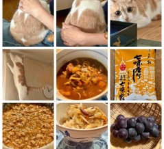 １１日のいろいろ　20260911