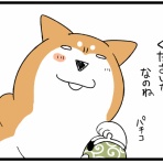 柴犬どんぐり三毛猫たんぽぽ