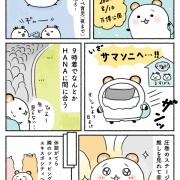 サマソニ大阪2026に行ったレポ