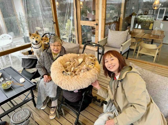 あの日のかぼちゃんに、また会えました