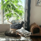 家の中の木陰でゆるっと眠る猫