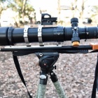 『投稿：BORG89ED野鳥撮影用機材ご紹介　2021/01/25』の画像