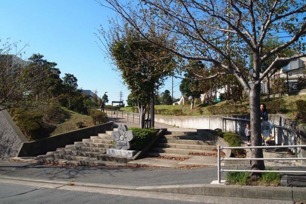 デザインスタジオ 自然と建築 Sfc 連絡