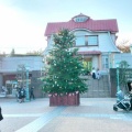 今年の『駅前ツリー』(^^ )