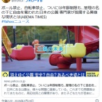 ボール禁止、自転車禁止、ついには年齢制限も…管理の名の下に自由を奪われた日本の公園 専門家が指摘する異様な現状とは