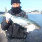 中本渡船ブログ