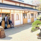 芳春院盆栽日記・72