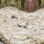 Beach Field　いいかげん日記帳Ⅲ