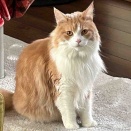 瀬戸市のKちゃんＴちゃん