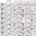 ハイブリッド競馬新聞