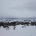 らいおんはーと