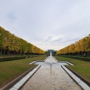 今日の昭和記念公園の紅葉