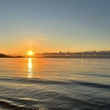 『新年のご挨拶』の画像