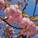 初夏仕様にChange🌿