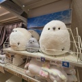 【開店】仙川島忠に開店した"ニトリ 仙川店"を見に行ったら"島忠Home's"とうまく共存するお店だった！