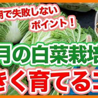 情報！参考中(集)